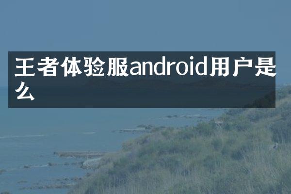 王者体验服android用户是什么