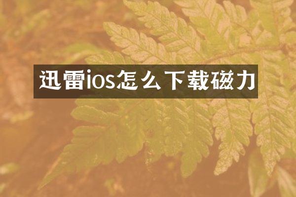 迅雷ios怎么下载磁力