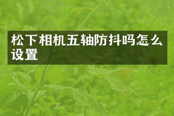 相机五轴防抖吗怎么设置