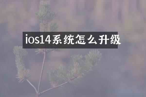 ios14系统怎么升级