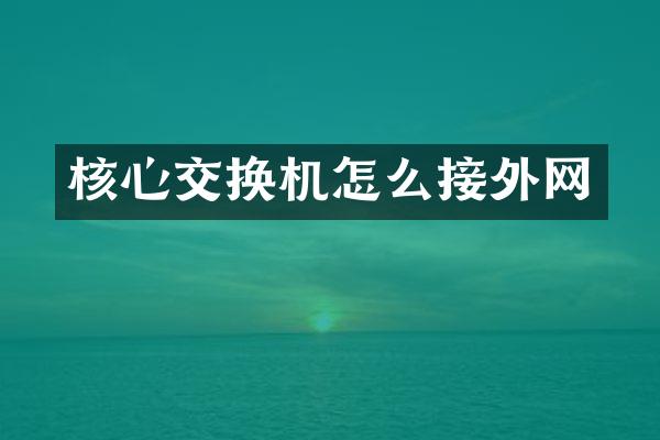 核心交换机怎么接外网