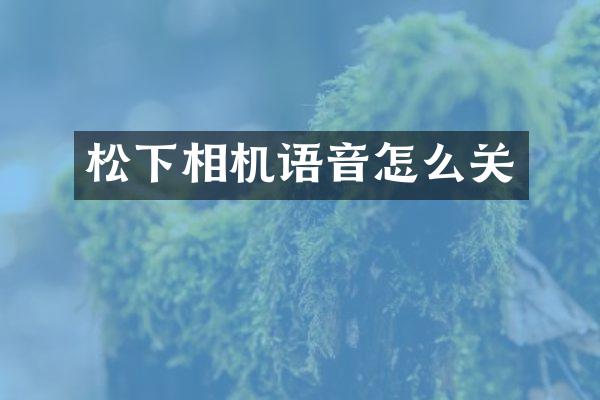 相机语音怎么关