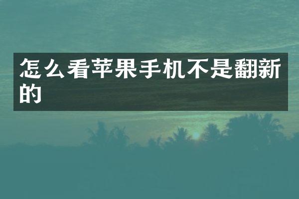 怎么看苹果手机不是翻新的