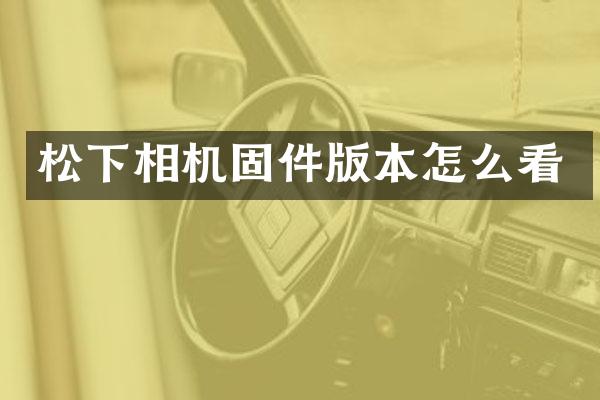 相机固件版本怎么看