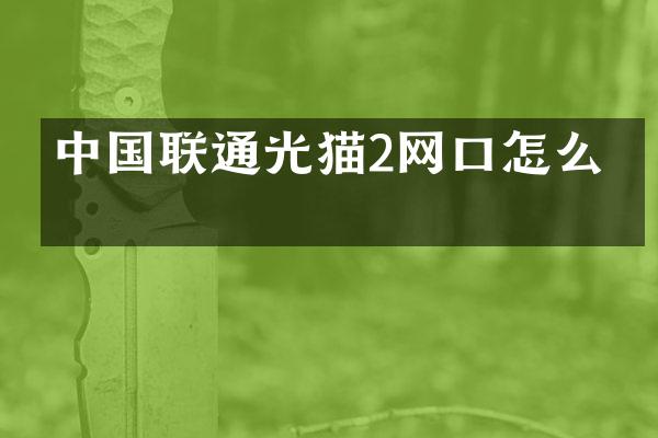 中国联通光猫2网口怎么插