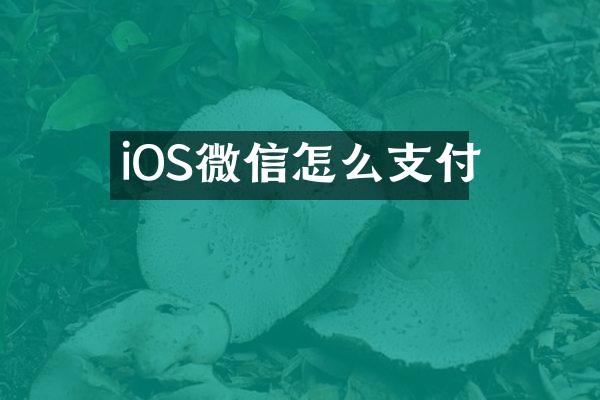 iOS微信怎么支付