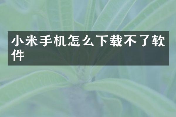 小米手机怎么下载不了软件
