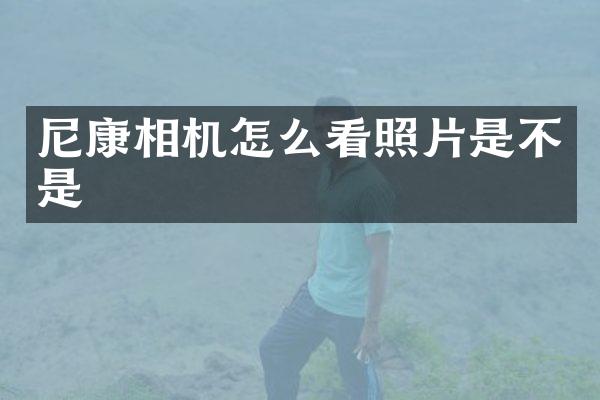 尼康相机怎么看照片是不是