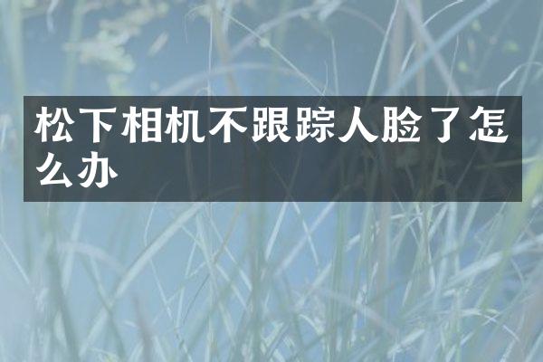 相机不人脸了怎么办