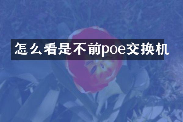 怎么看是不前poe交换机