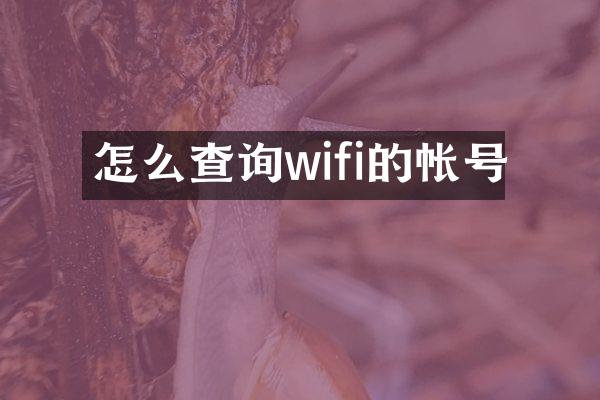 怎么查询wifi的帐号