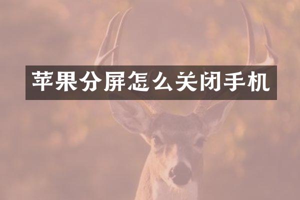 苹果分屏怎么关闭手机