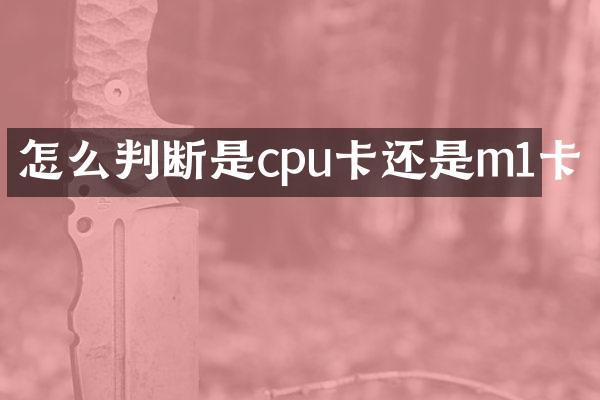 怎么判断是cpu卡还是m1卡