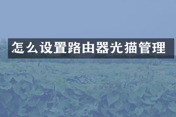 怎么设置路由器光猫管理
