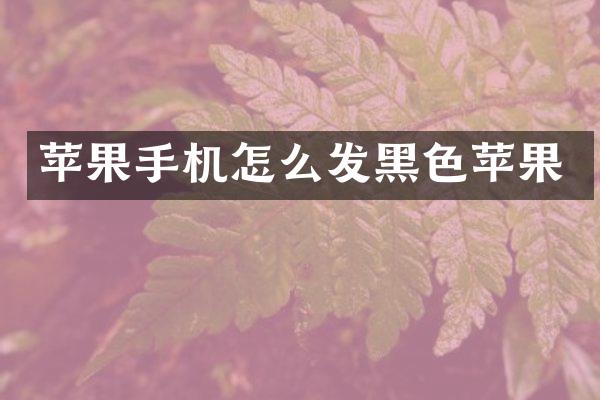 苹果手机怎么发黑色苹果
