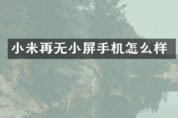 小米再无小屏手机怎么样