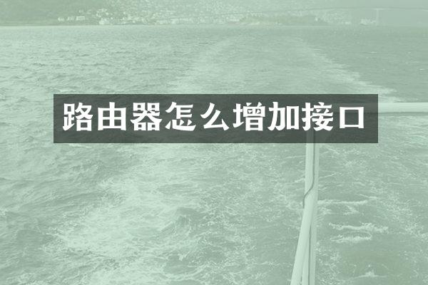 路由器怎么增加接口