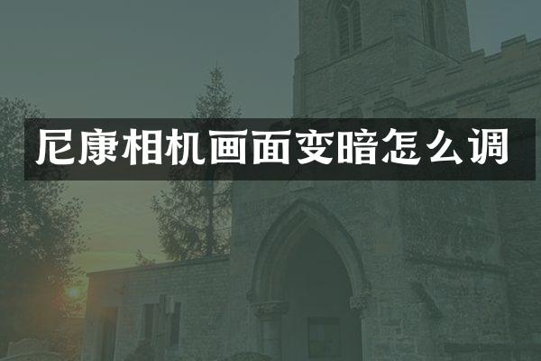 尼康相机画面变暗怎么调