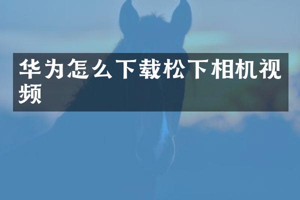 华为怎么下载相机视频