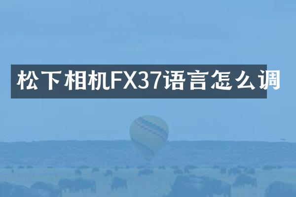 相机FX37语言怎么调
