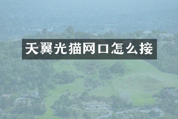 天翼光猫网口怎么接