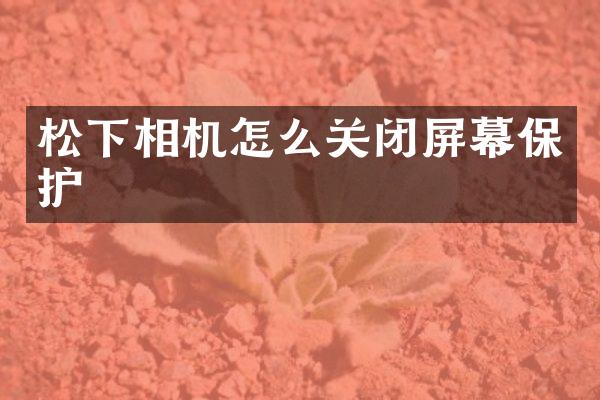 相机怎么关闭屏幕保护