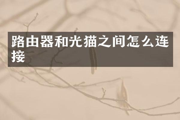 路由器和光猫之间怎么连接