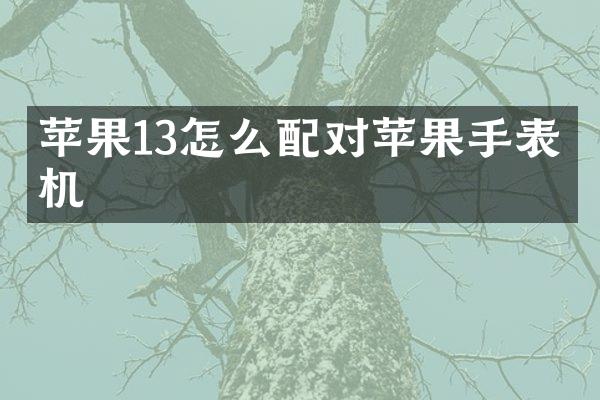 苹果13怎么配对苹果手表手机