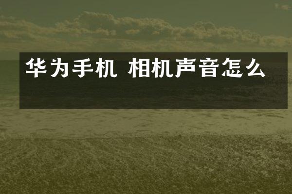 华为手机 相机声音怎么关