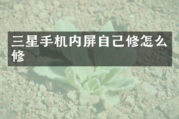 三星手机内屏自己修怎么修