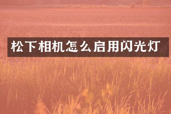 相机怎么启用闪光灯