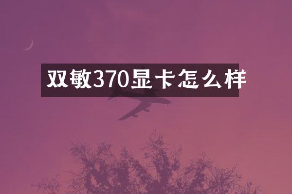 双敏370显卡怎么样