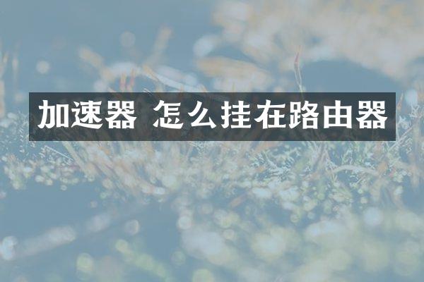 加速器 怎么挂在路由器