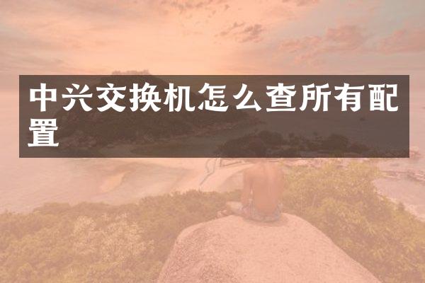 中兴交换机怎么查所有配置
