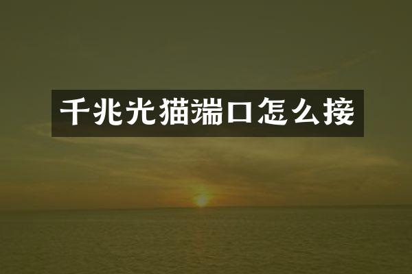 千兆光猫端口怎么接