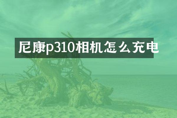 尼康p310相机怎么充电