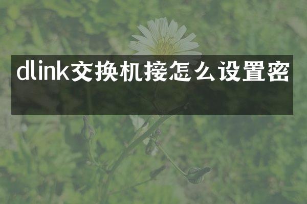 dlink交换机接怎么设置密码
