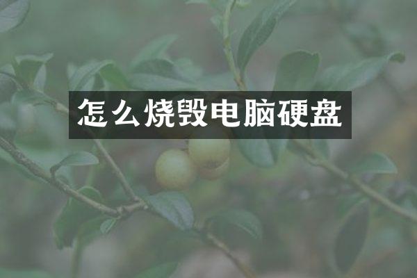 怎么烧毁电脑硬盘