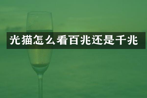 光猫怎么看百兆还是千兆