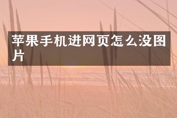 苹果手机进网页怎么没图片