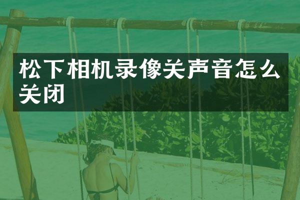 相机录像关声音怎么关闭