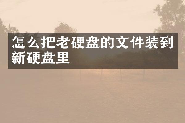 怎么把老硬盘的文件装到新硬盘里