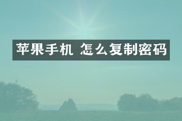苹果手机 怎么复制密码