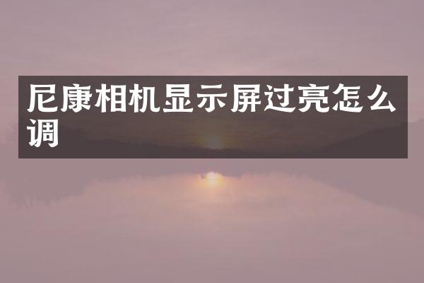 尼康相机显示屏过亮怎么调