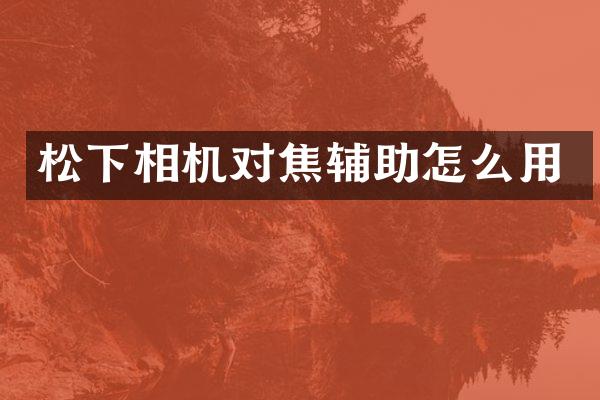 相机对焦辅助怎么用