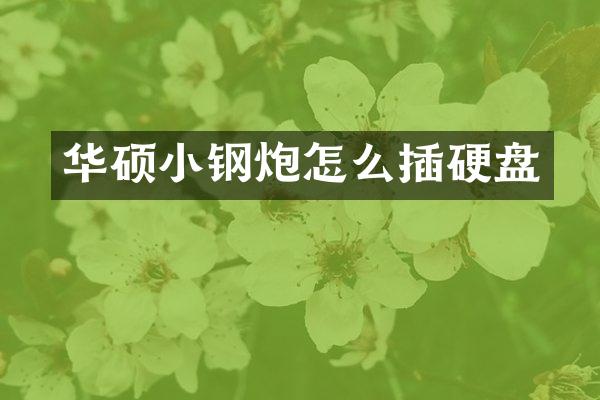 华硕小钢炮怎么插硬盘