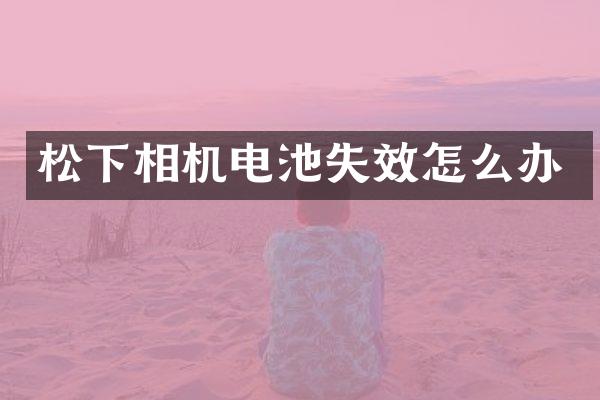 相机电池失效怎么办