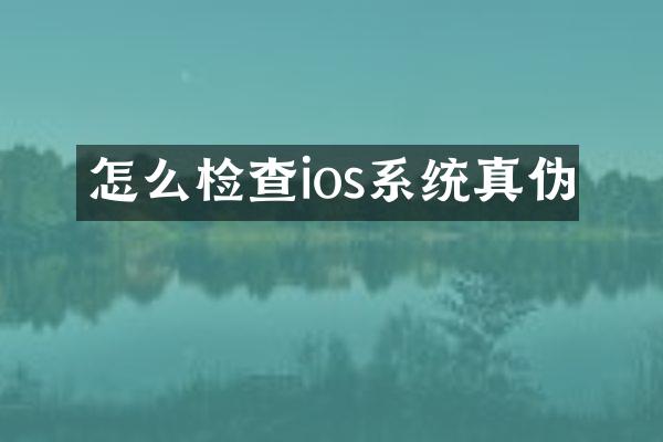 怎么检查ios系统真伪