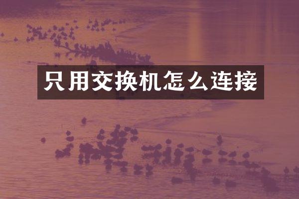 只用交换机怎么连接