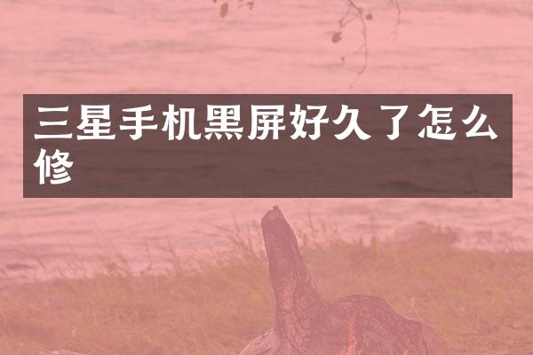 三星手机黑屏好久了怎么修